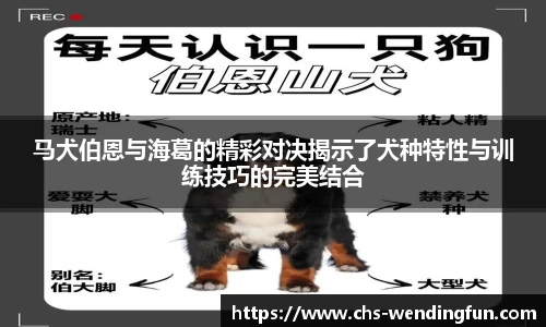 问鼎娱乐下载