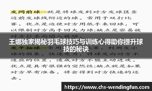 王娜独家揭秘羽毛球技巧与训练心得助你提升球技的秘诀